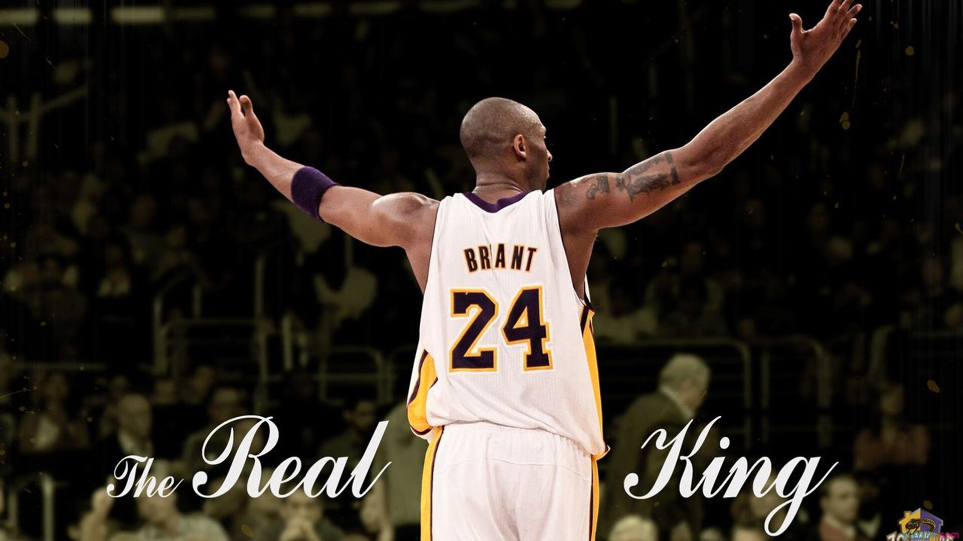 德甲争冠战之夜，卡塞米罗状态火热，中场铁闸定乾坤