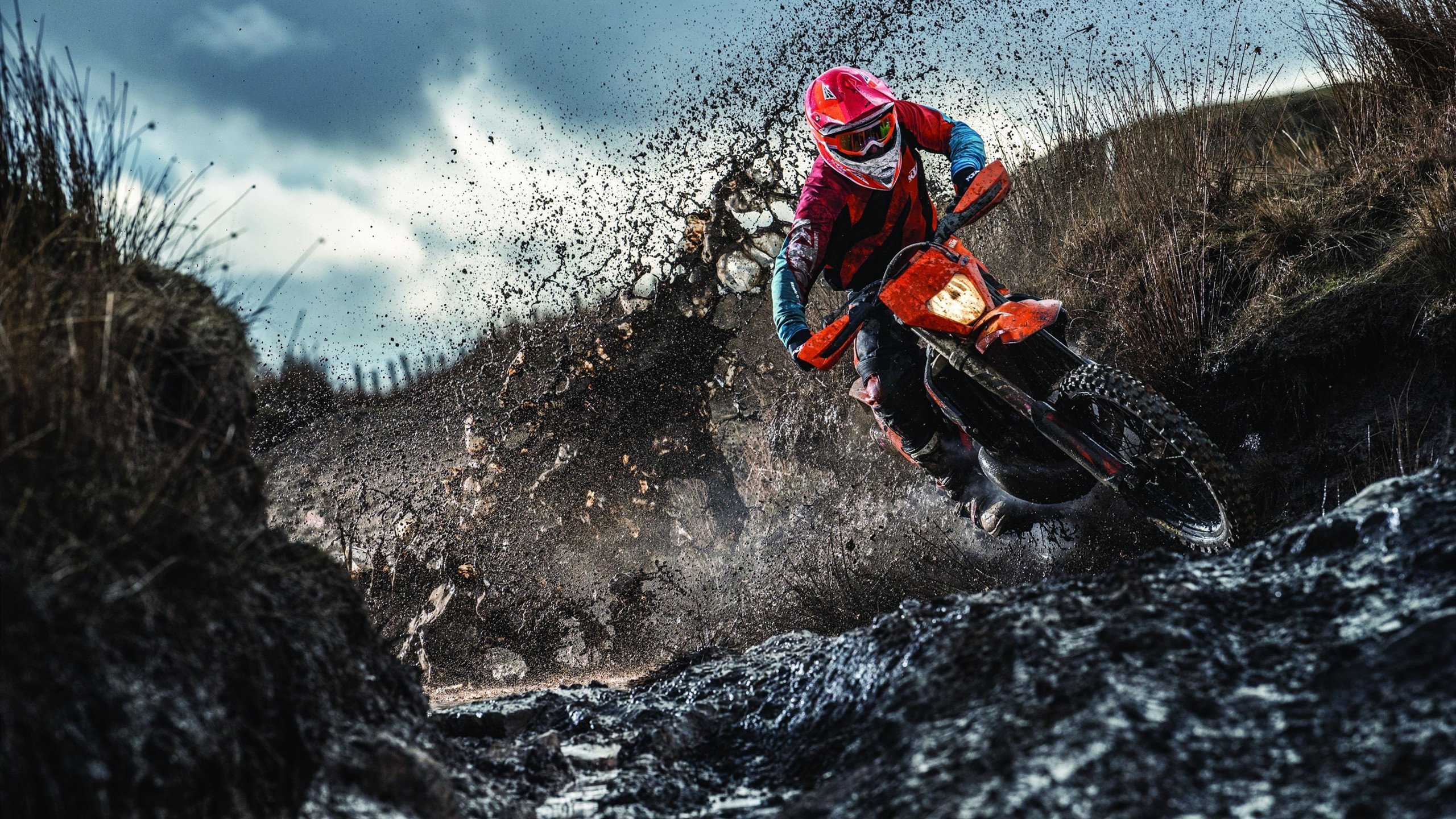 雄鹿火力压制雷霆，武切维奇进攻端无人可挡